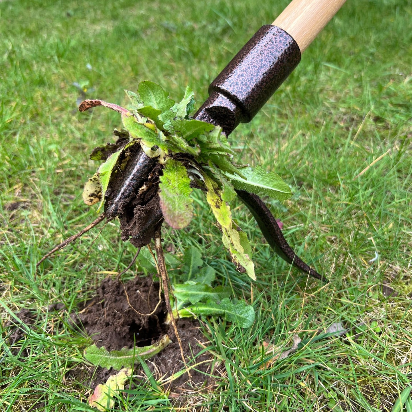 Spear & Jackson Elements Traditional Long-Handle Weeder
