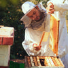 Beekeeper wearing protective gear inspecting a honeycomb frame with a bee brush, surrounded by wooden bee boxes in a garden setting, featured in Farm, Garden & Tool collections.