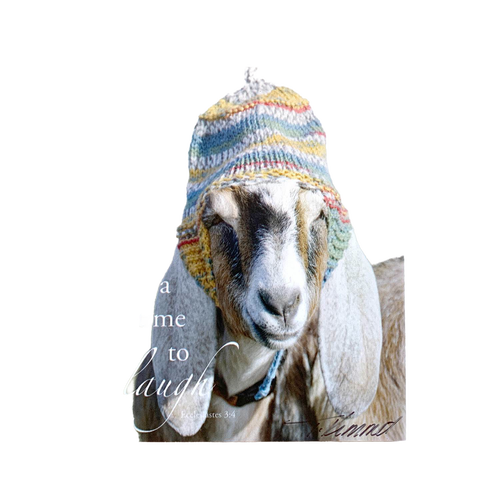 Handcrafted animal magnet featuring a white and brown goat wearing a colorful knit hat with the uplifting verse "A time to laugh" from Ecclesiastes 3:4, perfect for Home & Decor, Best Sellers, and Promo Eligible collections.