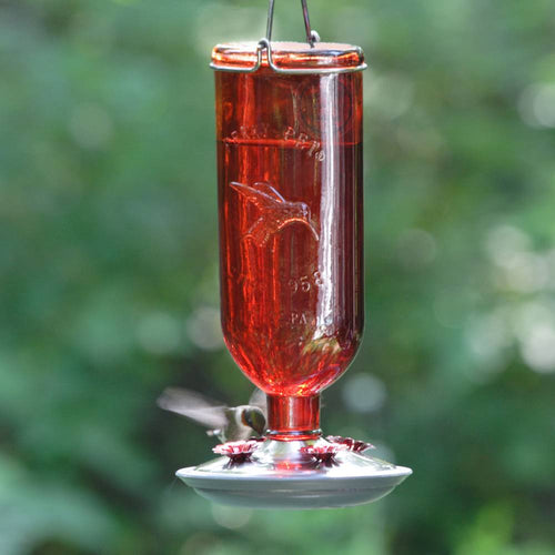 Red vintage-style glass hummingbird bottle feeder with brushed copper accents, hanging outdoors with a blurred natural green background, featured in Farm, Garden & Tool and Animal Care collections.