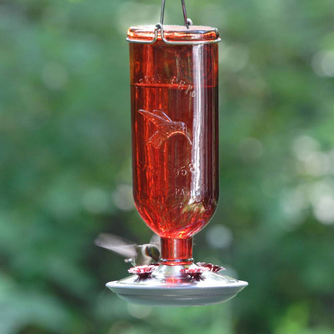 Red vintage-style glass hummingbird bottle feeder with brushed copper accents, hanging outdoors with a blurred natural green background, featured in Farm, Garden & Tool and Animal Care collections.