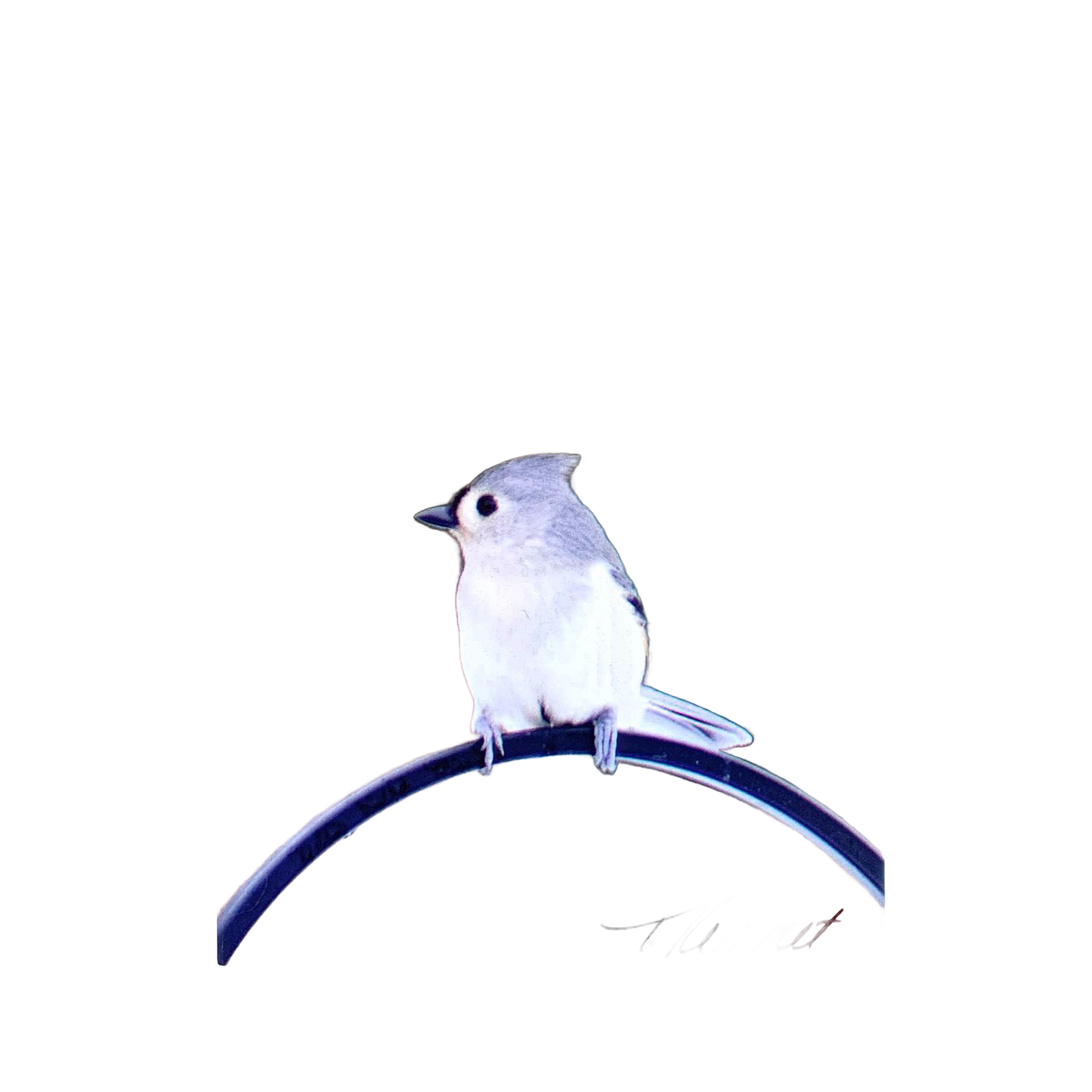 Delightful handcrafted magnet featuring a delicate tufted titmouse perched on a curved branch, designed to uplift with an inspiring verse, perfect for Home & Decor, Best Sellers, and Promo Eligible collections.
