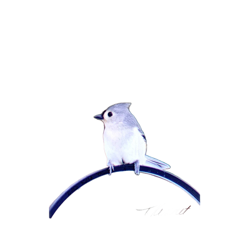 Delightful handcrafted magnet featuring a delicate tufted titmouse perched on a curved branch, designed to uplift with an inspiring verse, perfect for Home & Decor, Best Sellers, and Promo Eligible collections.