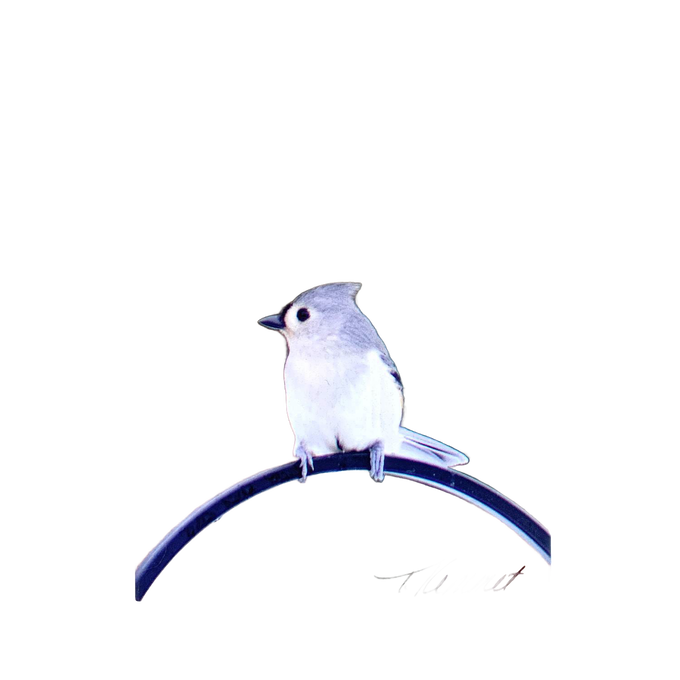 Delightful handcrafted magnet featuring a delicate tufted titmouse perched on a curved branch, designed to uplift with an inspiring verse, perfect for Home & Decor, Best Sellers, and Promo Eligible collections.