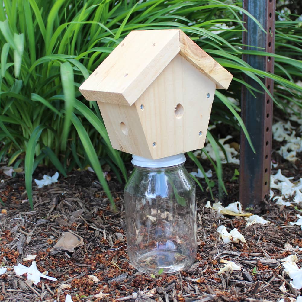 Handcrafted pine wood carpenter bee trap with a natural finish mounted on a clear glass jar, designed for outdoor pest control, made in the USA, part of Farm, Garden & Tool and Amish Made collections.