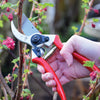 Pruning red-handled heavy-duty bypass pruning shears cutting a thick brown stem with surrounding green leaves and small pink flowers, featured in Farm, Garden & Tool and Garden Accessories collections.
