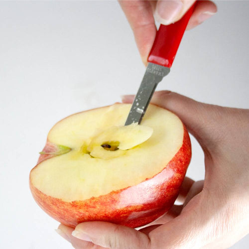 Hand using a handcrafted flexible paring knife with a red handle to core the center of a halved apple, ideal for fruit prep in Farm, Garden & Tool and Kitchen & Food collections.