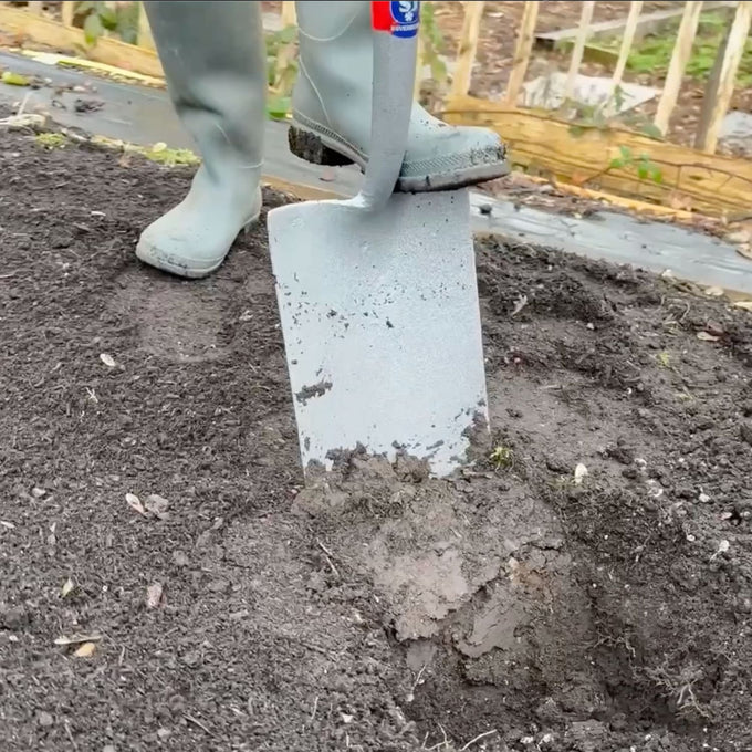 Close-up of a heavy-duty digging spade with forged carbon steel head cutting into rich garden soil, held by a person wearing gray gardening boots, ideal for Farm, Garden & Tool, Digging and Cultivating, Lawncare, Best Sellers, and Promo Eligible collections.