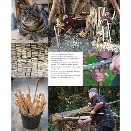 Collage showing woodland woodworking scenes including a cat in a rustic workshop, stacks of cut wood strips, hand carving on green branches, wooden tool handles in a bucket, and a craftsman shaping a log outdoors, featured in Books, Home and Garden How-To Books, and Best Sellers collections.
