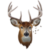 Intricately detailed buck-shaped puzzle with 520 pieces, featuring no corners or straight edges, designed for Toys, Books & Games, Children's Toys, and Puzzles collections.