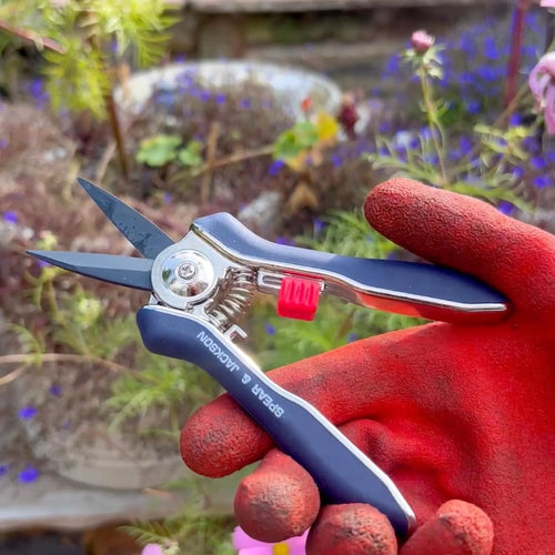 Hand holding a sleek pair of mini pruning shears with ergonomic handles, ideal for precise trimming in garden, lawncare, and farm tool collections.