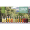 Row of clear glass bottles filled with varying shades of homemade hard cider from pale yellow to deep red, displayed outdoors against a natural blurred background, featured in a best-selling how-to book collection.