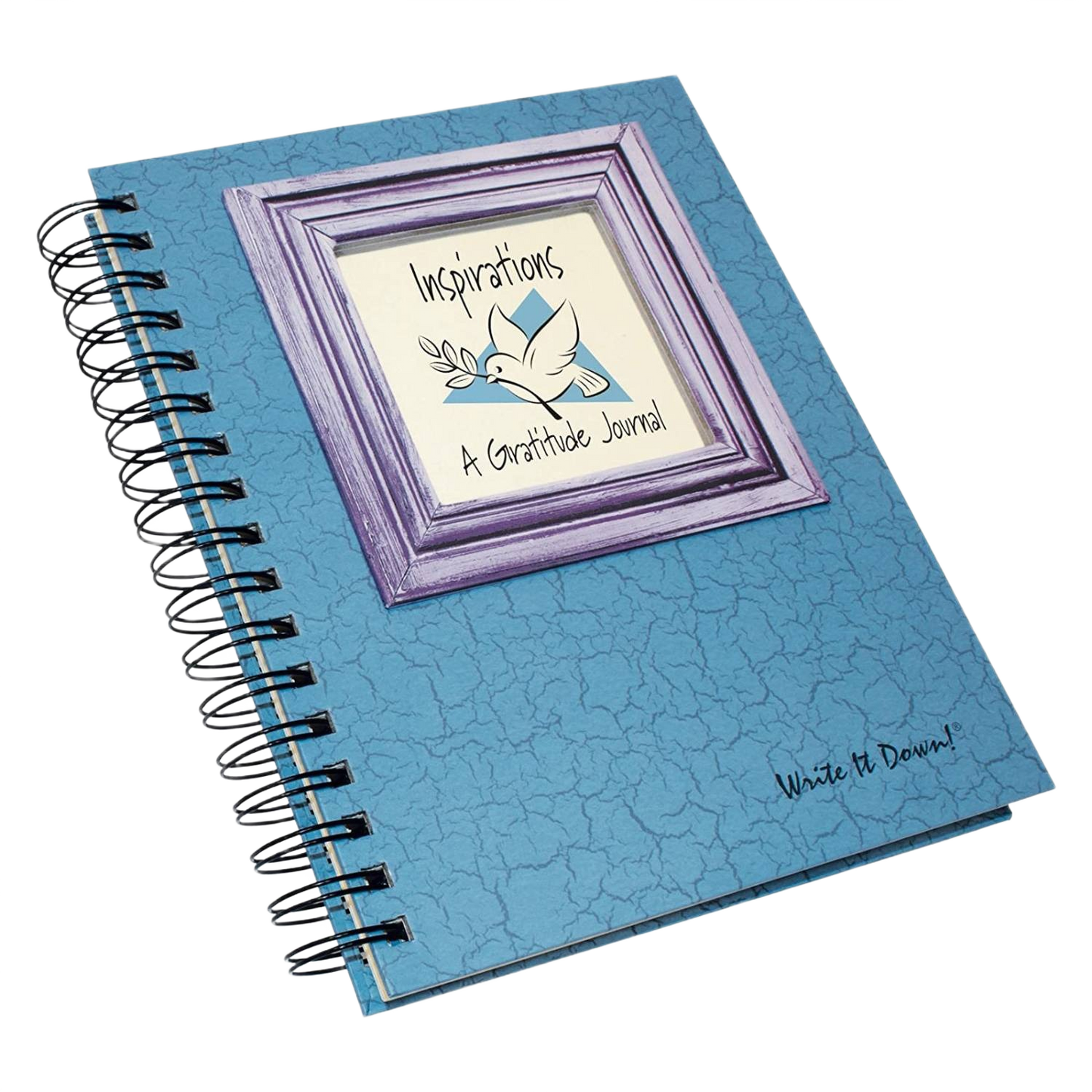 Gratitude Journal - Write it Down! Guided Journal