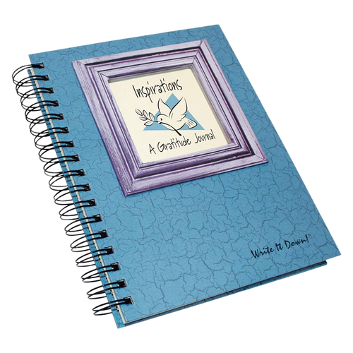 Gratitude Journal - Write it Down! Guided Journal