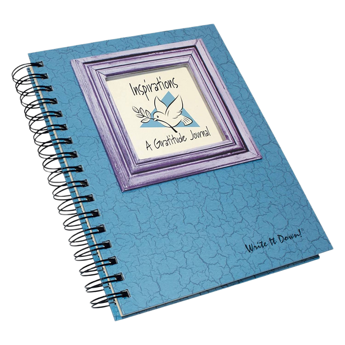 Gratitude Journal - Write it Down! Guided Journal