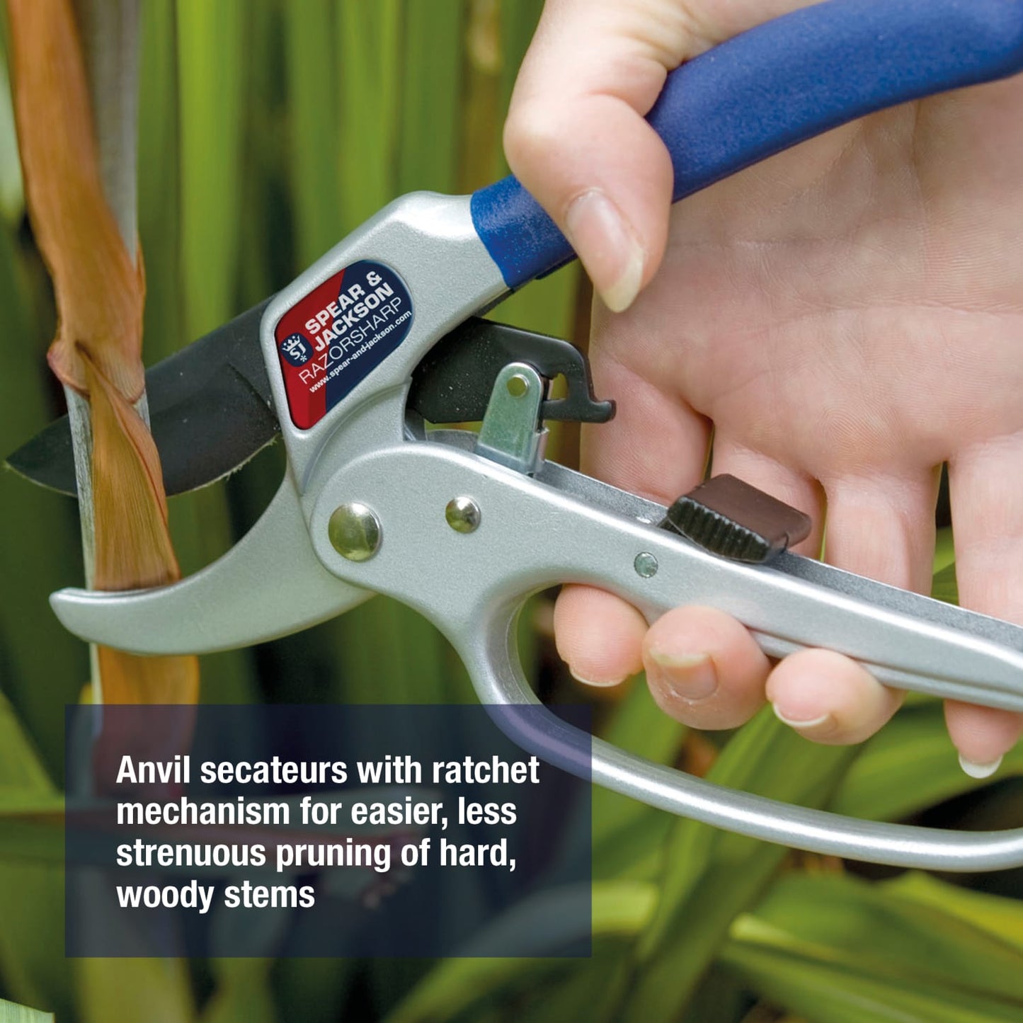 Close-up of ratchet anvil pruners with blue handle cutting thick woody stems, designed for durable garden use, featured in Farm, Garden & Tool and Lawncare collections.