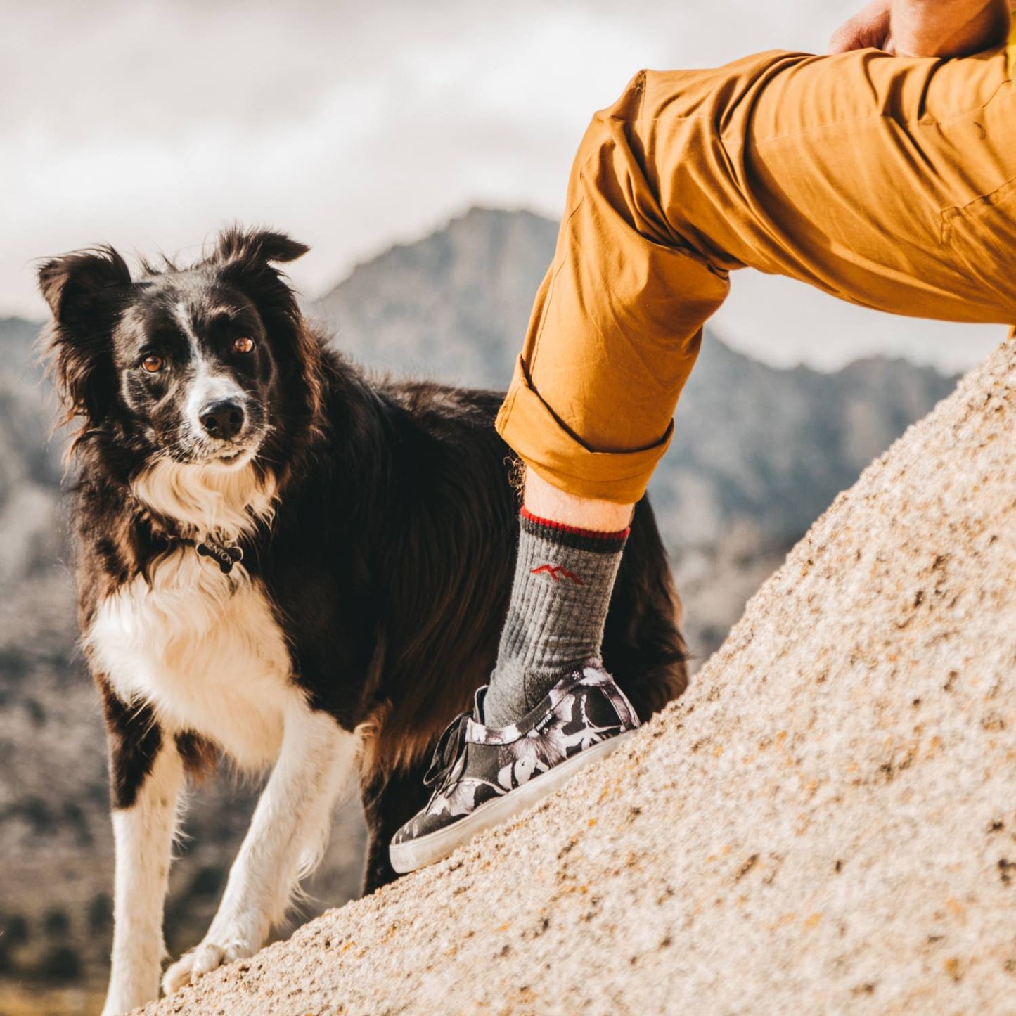Close-up of a person wearing durable hiking socks and sneakers standing on a rocky incline beside a black and white dog, showcasing outdoor adventure gear for Health & Wellness, Camping, and USA Made collections.