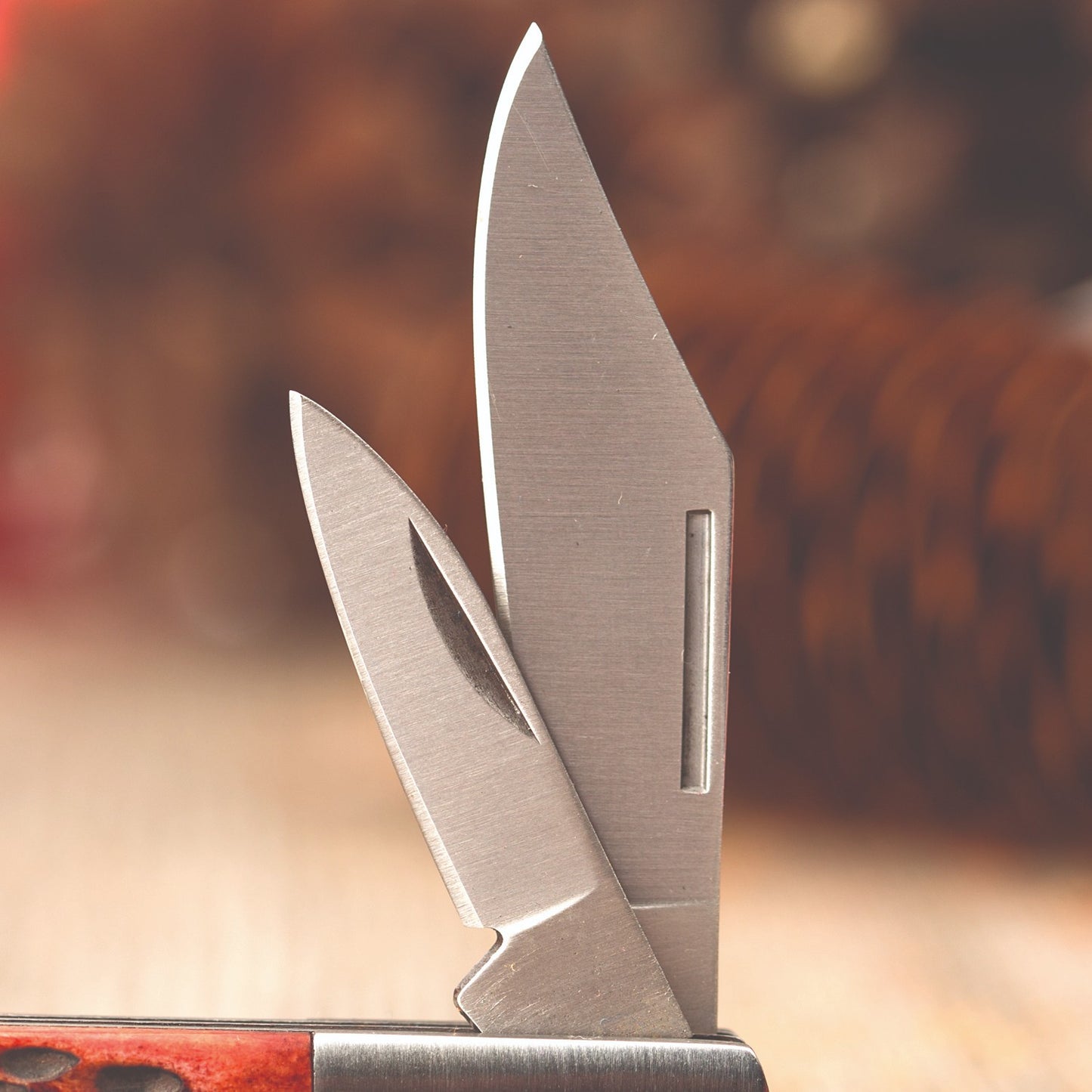 Close-up of a handcrafted Old-Fashioned Barlow Pocket Knife featuring two stainless steel blades and a genuine bone handle, ideal for Farm, Garden & Tool and Hand Tools and Hardware collections.
