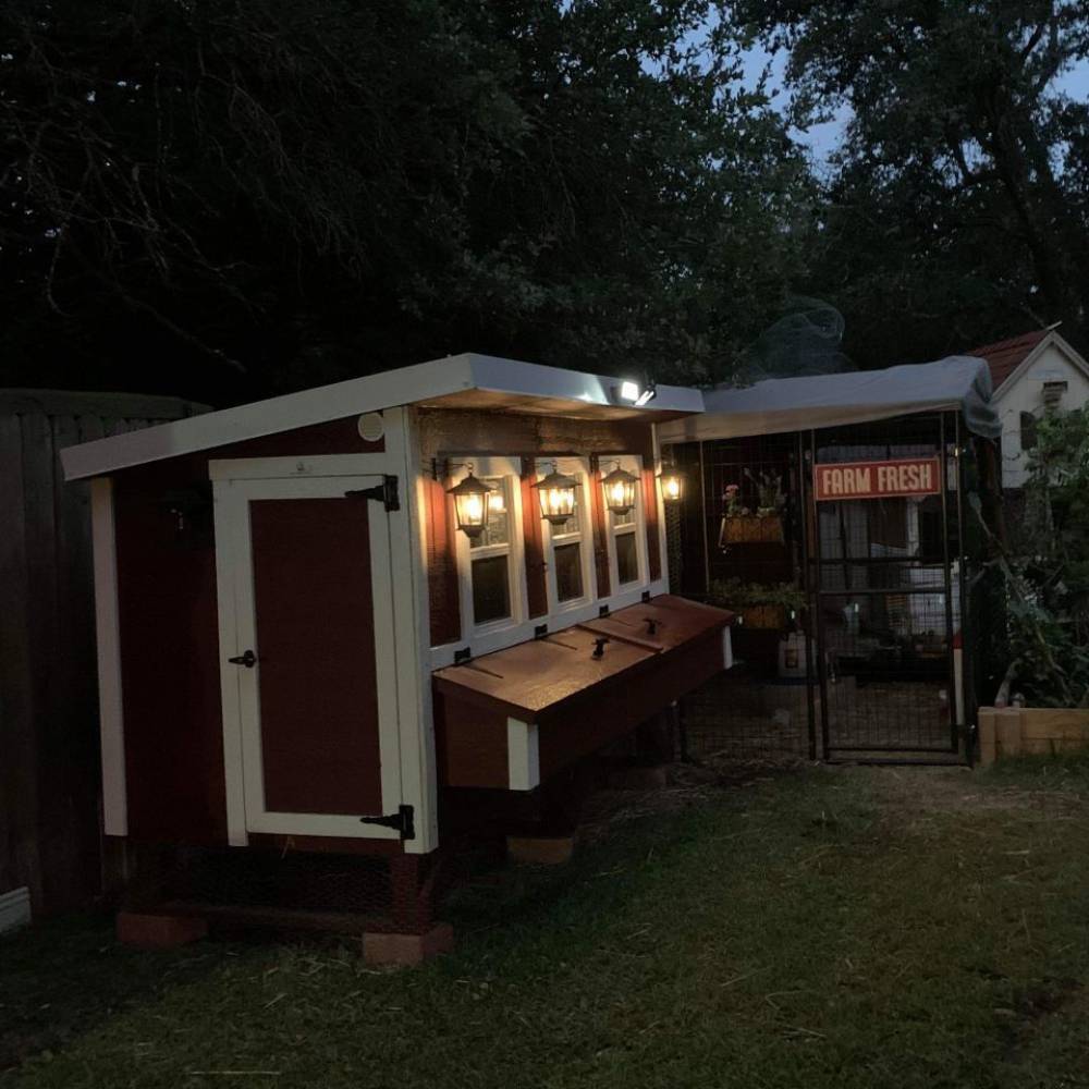 Handcrafted heavy-duty Amish made chicken coop in red with white trim illuminated at dusk, featuring multiple windows and nesting boxes, ideal for Farm, Garden & Tool, Chicken Accessories, USA Made, Amish Made, and Best Sellers collections.