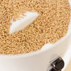 Close-up of golden wheat grains filling the white grinding chamber of a quiet, fully adjustable electric grain mill, part of Kitchen & Food, Grain Mills, and Bread Making Supplies collections.