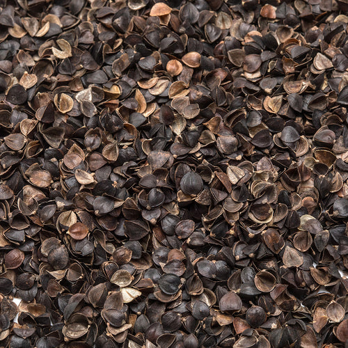 Close-up of natural buckwheat hulls with a rich brown color and smooth texture, used as adjustable filling in handcrafted, USA made home textiles and bedding products.