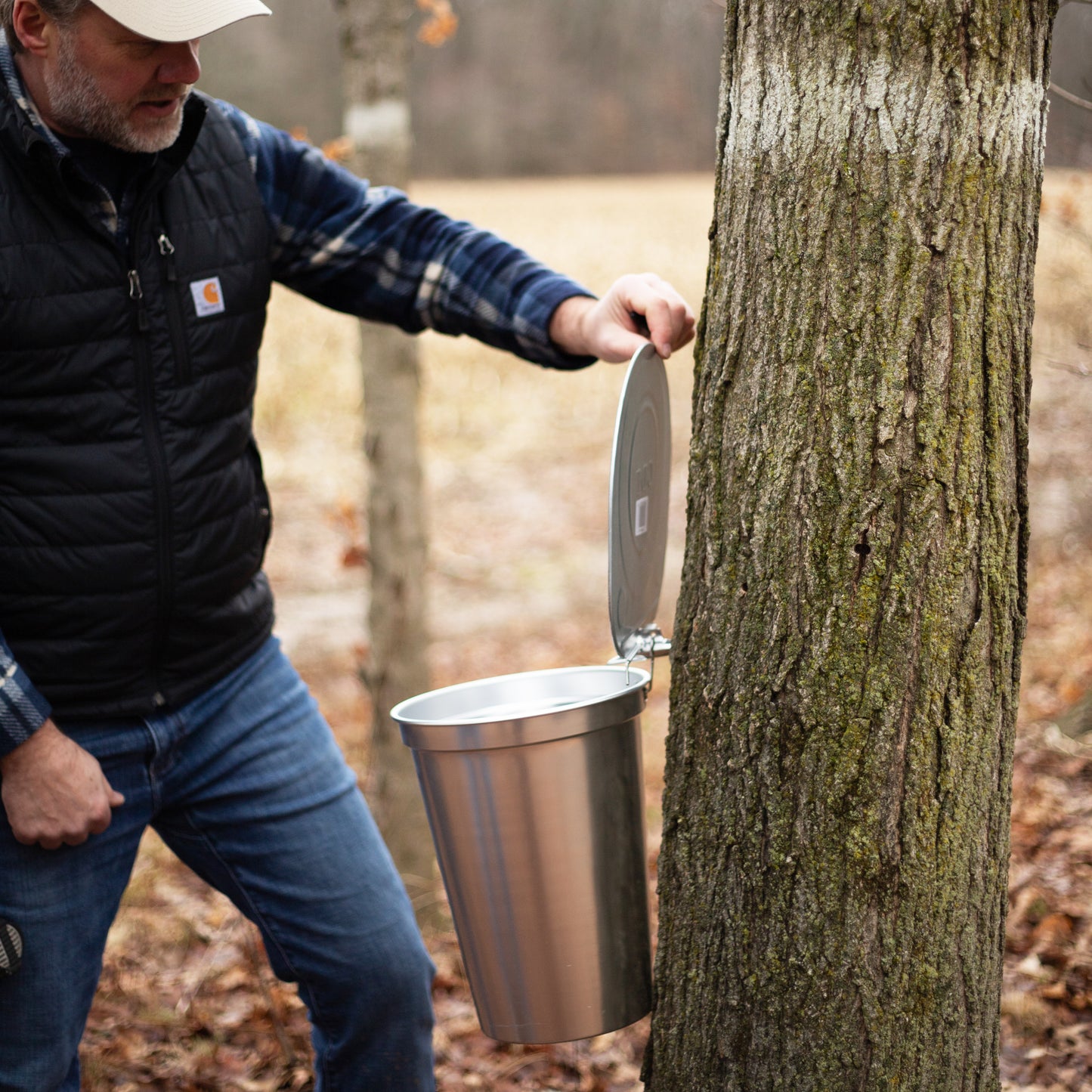 Person opening a metal bucket lid attached to a mature maple tree outdoors, preparing for sap collection with a handcrafted sugaring kit in a natural orchard setting.