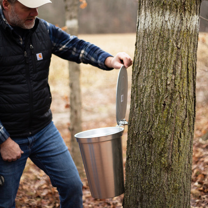 Person opening a metal bucket lid attached to a mature maple tree outdoors, preparing for sap collection with a handcrafted sugaring kit in a natural orchard setting.