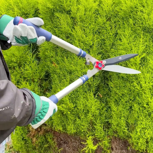 Hands wearing protective gloves using telescopic hedge shears with extended aluminum handles to trim dense green shrubs, suitable for Farm, Garden & Tool and Lawncare collections.