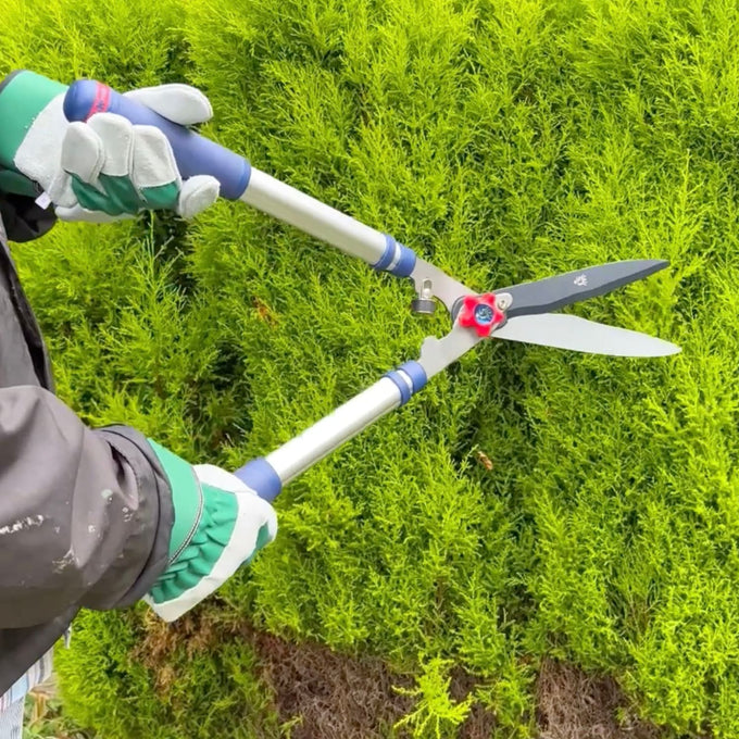 Hands wearing protective gloves using telescopic hedge shears with extended aluminum handles to trim dense green shrubs, suitable for Farm, Garden & Tool and Lawncare collections.