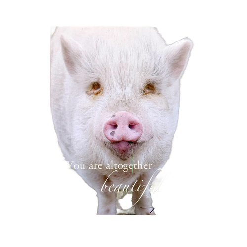 Close-up of a white pig smiling with a green leaf in its mouth, featuring the uplifting verse "You are altogether beautiful," perfect for Home & Decor and Best Sellers collections.