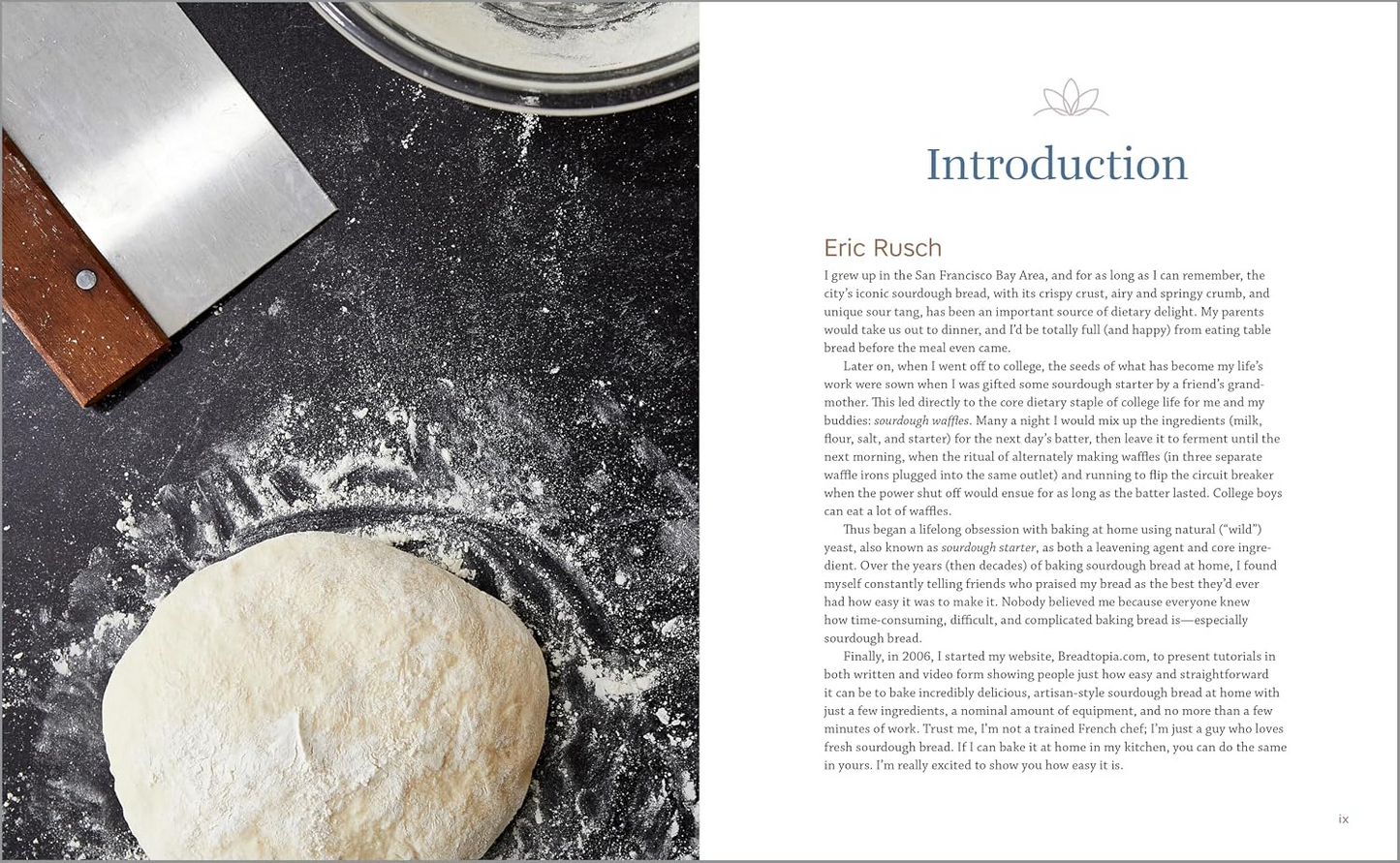 Sourdough Cookbook for Beginners