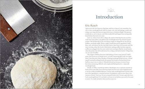 Sourdough Cookbook for Beginners