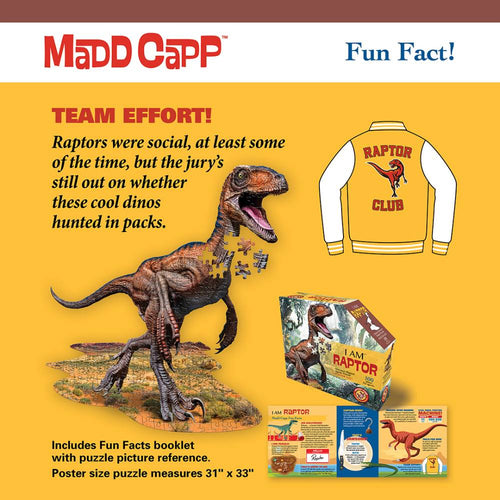 Fun fact card for a shaped raptor puzzle featuring a detailed raptor illustration with puzzle pieces, a "Raptor Club" jacket image, and a booklet with fun facts and a full puzzle picture reference, part of Toys, Books & Games and Children’s Toys collections.