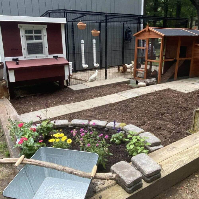Handcrafted heavy-duty wooden chicken coop with attached wire run, featuring secure access and ample space, designed for year-round use in Farm, Garden & Tool, Chicken Accessories, USA Made, Amish Made, and Best Sellers collections.