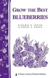 Book cover design featuring hand-drawn blueberry illustrations in purple with a classic, simple layout, suitable for Heritage and Lifestyle Books and Best Sellers collections.