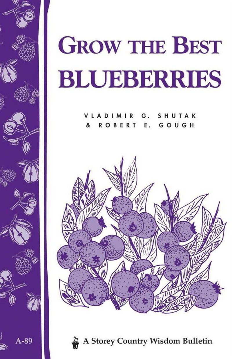 Book cover design featuring hand-drawn blueberry illustrations in purple with a classic, simple layout, suitable for Heritage and Lifestyle Books and Best Sellers collections.