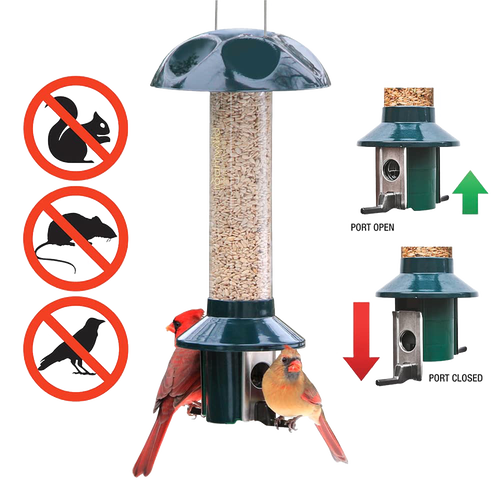 Metal bird feeder with a green top and base, filled with mixed seeds and sunflower, designed to keep out squirrels, chipmunks, and large birds, shown with birds feeding, featured in Farm, Garden & Tool and Animal Care collections.
