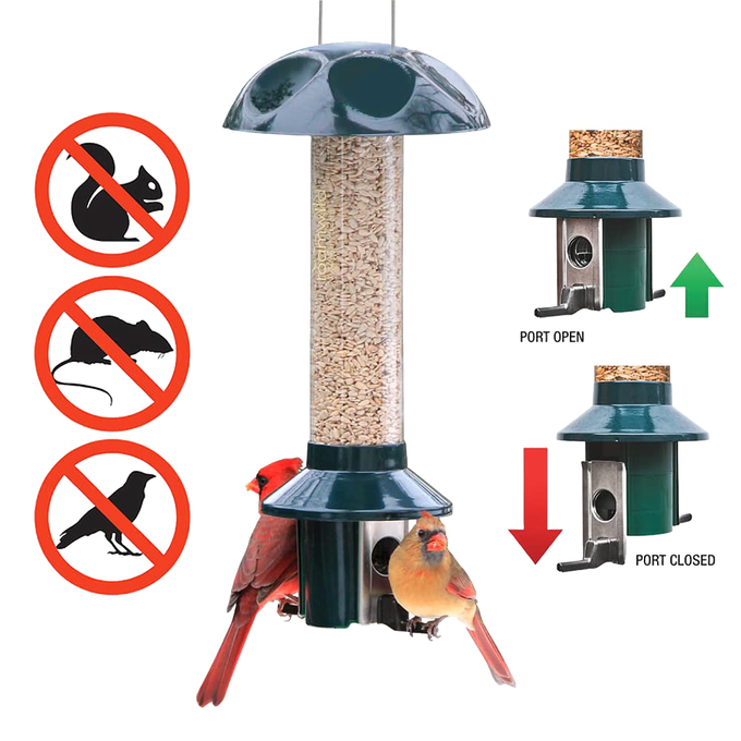 Metal bird feeder with a green top and base, filled with mixed seeds and sunflower, designed to keep out squirrels, chipmunks, and large birds, shown with birds feeding, featured in Farm, Garden & Tool and Animal Care collections.