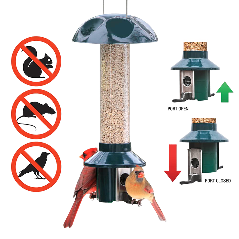 Metal bird feeder with a green top and base, filled with mixed seeds and sunflower, designed to keep out squirrels, chipmunks, and large birds, shown with birds feeding, featured in Farm, Garden & Tool and Animal Care collections.