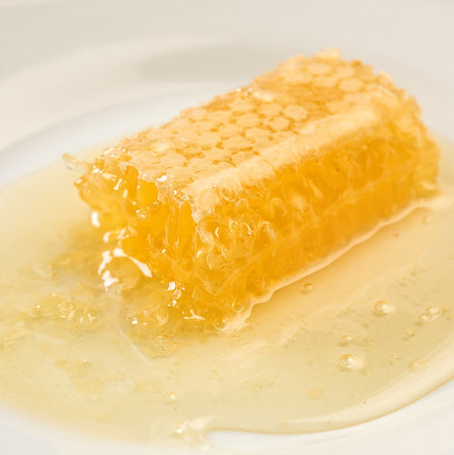 Handcrafted pure honeycomb dripping natural raw honey onto a white plate, rich in enzymes and pollen, ideal for Kitchen & Food, Pantry, USA Made, and Best Sellers collections.