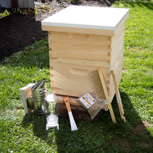 Natural wood 10-frame beekeeping hive with handcrafted essential tools including smoker, hive tool, bee brush, and feeder, displayed outdoors on grass for farm and garden supplies.