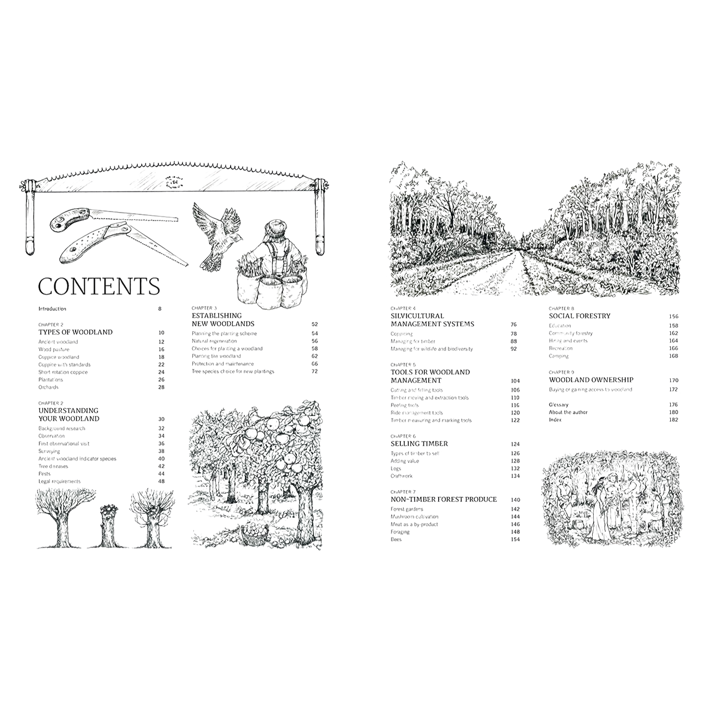 Illustrated guide pages showing woodland management tips with detailed text, diagrams of trees, tools, and a forest pathway, styled in a vintage, instructional format.