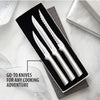 Three-piece set of sharp knives with sleek silver handles in a black gift box, including heavy-duty paring, utility, and serrated tomato slicer knives, handcrafted in the USA.