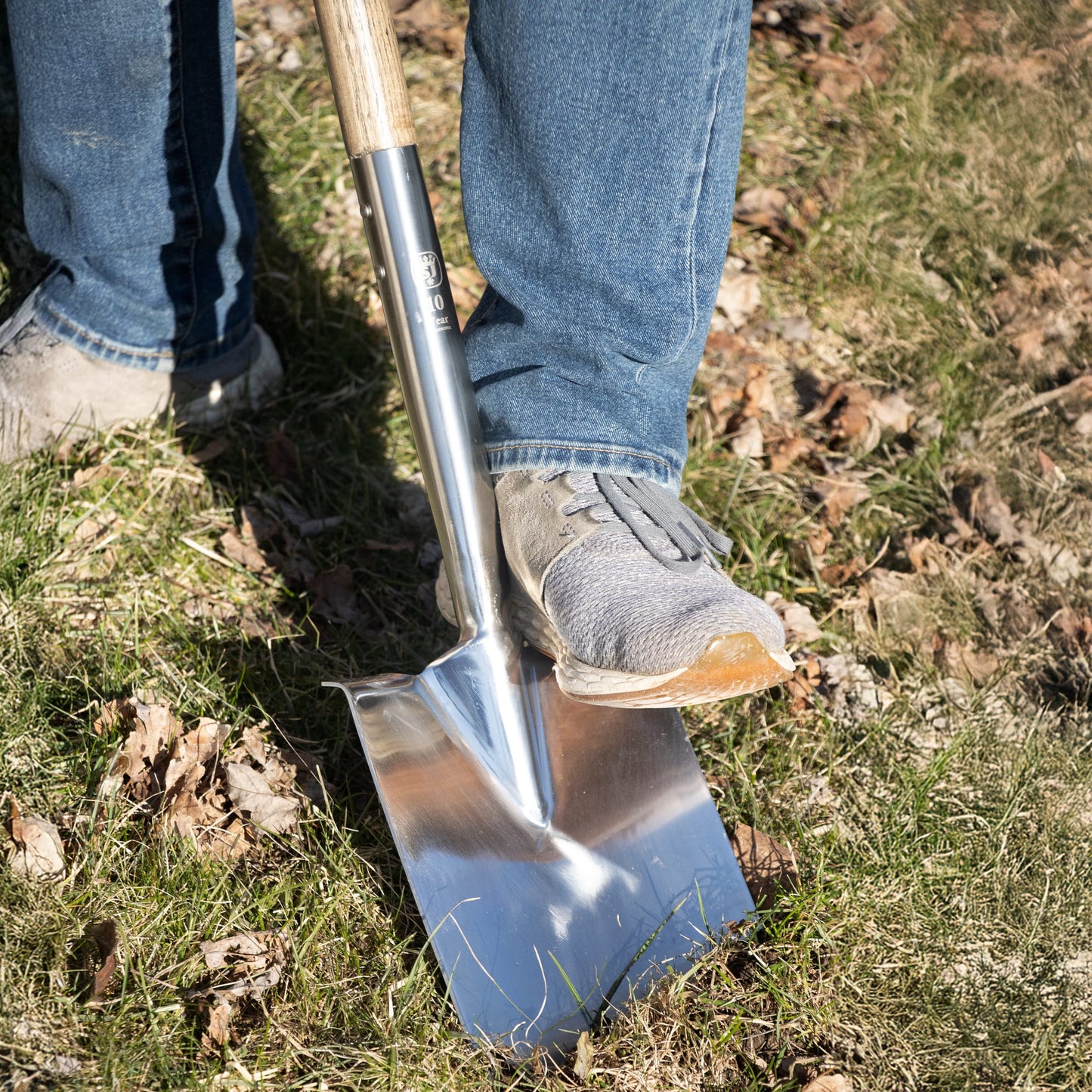 Person wearing jeans and sneakers using a stainless steel digging spade with a weatherproof hardwood handle to dig soil in a grassy outdoor garden area, featured in Farm, Garden & Tool and Digging and Cultivating collections.