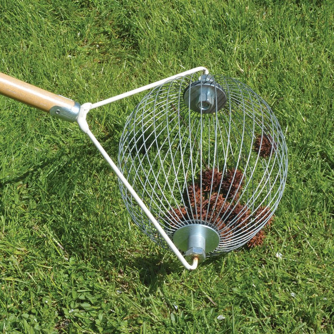 Wire basket nut collector with wooden handle gathering fallen nuts on green grass, designed for easy yard cleanup with minimal bending; featured in Farm, Garden & Tool, Lawncare, Best Sellers, and Promo Eligible collections.