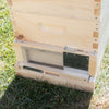 Handcrafted Amish-made robbing screen with metal mesh and adjustable sliding latch installed on a wooden 8-frame hive bottom board, designed to protect bees and promote hive health, featured in Farm, Garden & Tool and Beekeeping Supplies collections.