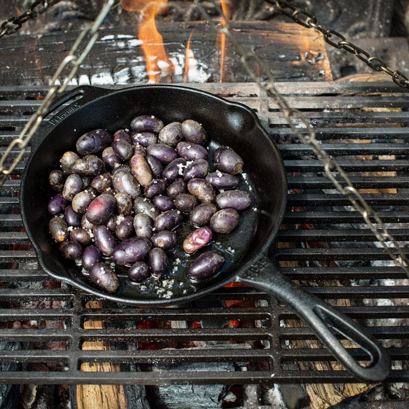 Black cast iron skillet with long handle roasting small purple potatoes over an open fire on a metal grate, ideal for Farm, Garden & Tool, Camping, Kitchen & Food, Cookware, Cast Iron, and Best Sellers collections.