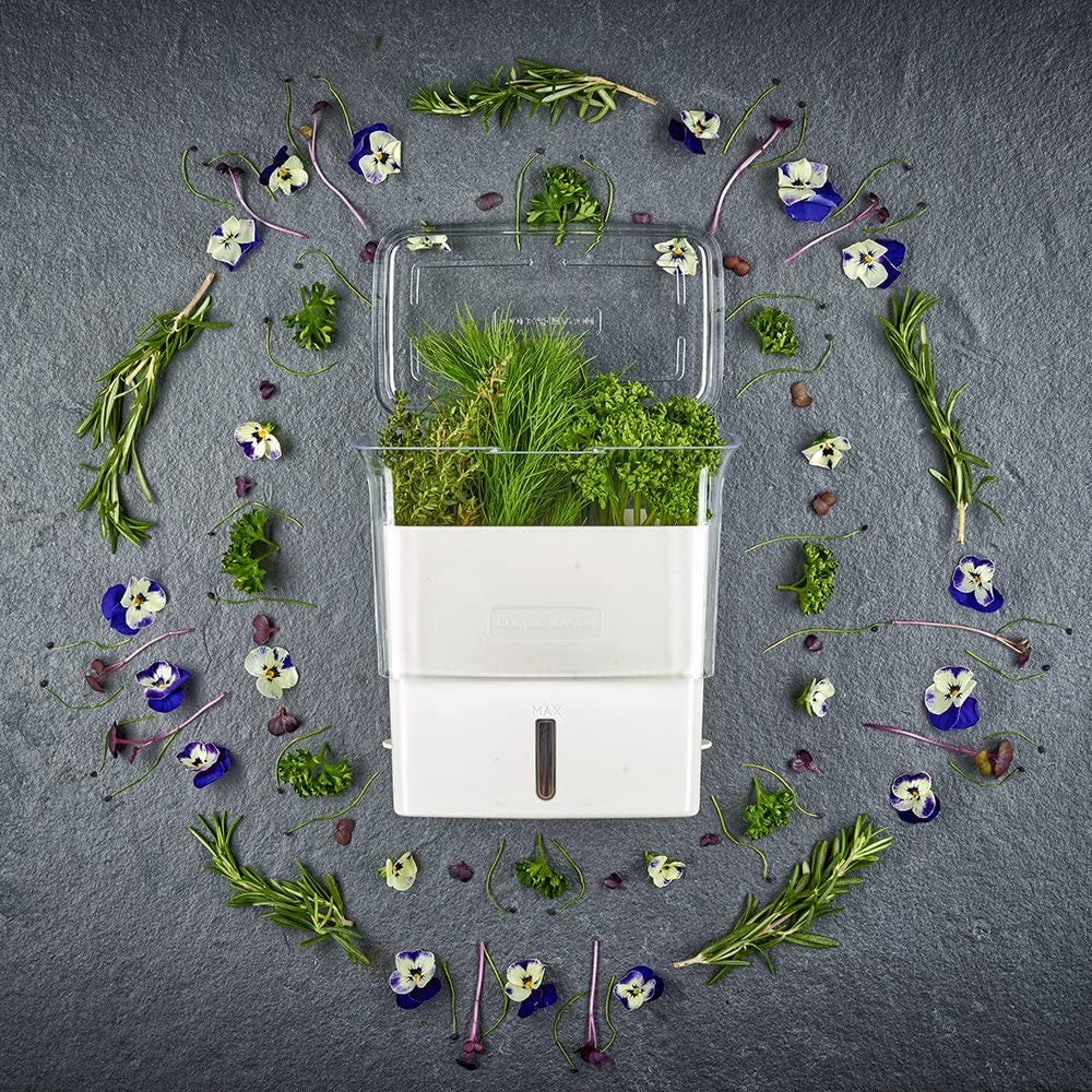 White and clear fresh-cut herb keeper with refill window and removable dividers, surrounded by fresh green herbs and edible flowers, perfect for Kitchen & Food and Storage collections.