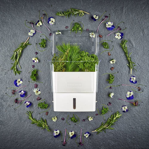 White and clear fresh-cut herb keeper with refill window and removable dividers, surrounded by fresh green herbs and edible flowers, perfect for Kitchen & Food and Storage collections.