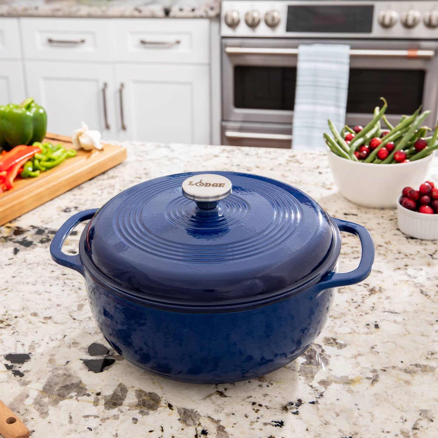 Lodge Enameled Cast Iron 6qt. Dutch Oven